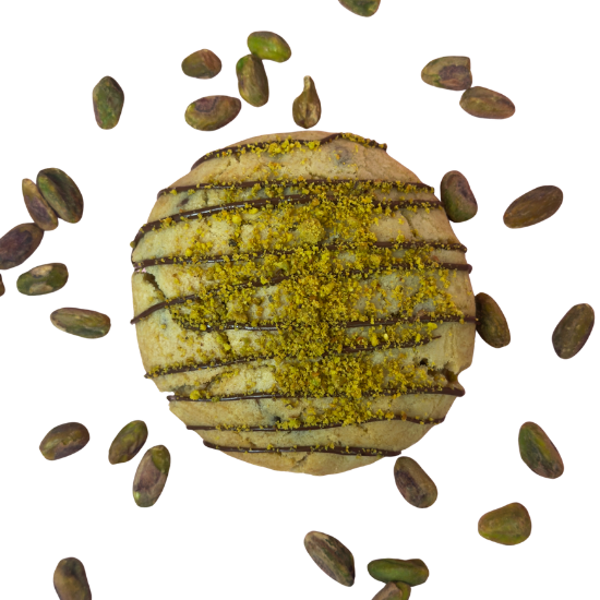 Untitled (550 x 550 px) (4)